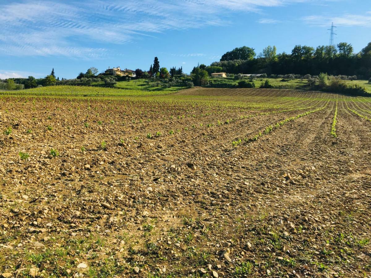 Agriturismo La Valle A Polvereto Tavarnelle Val di Pesa Exteriér fotografie