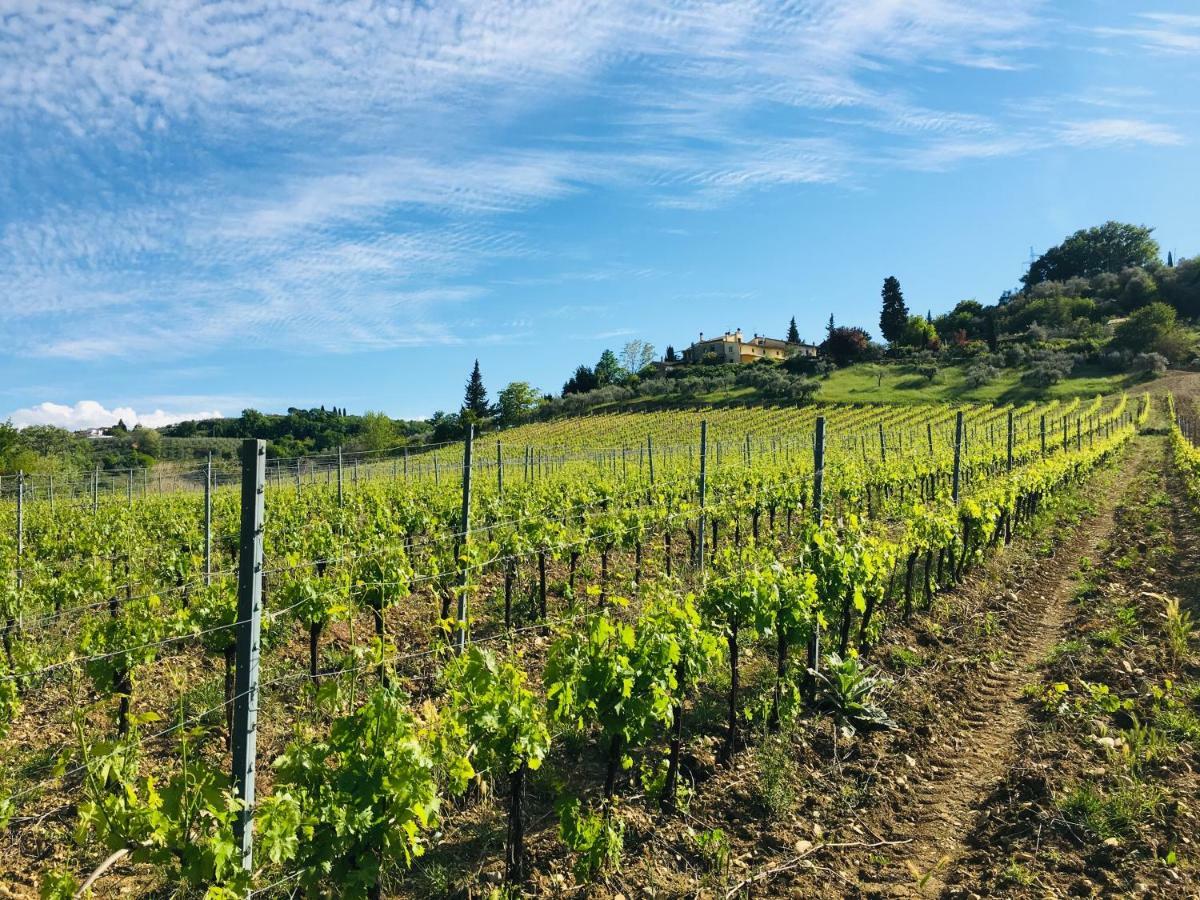 Agriturismo La Valle A Polvereto Tavarnelle Val di Pesa Exteriér fotografie