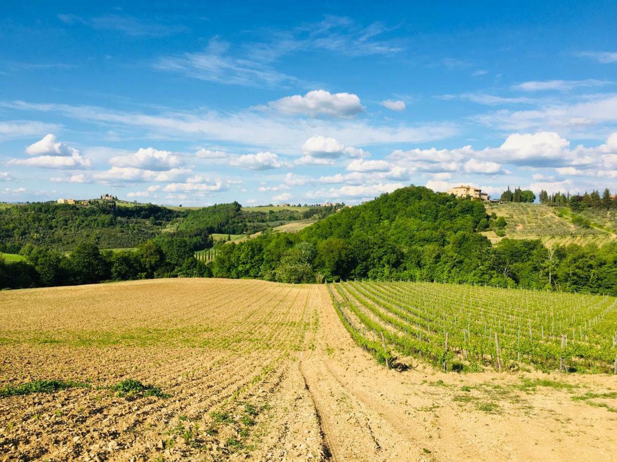 Agriturismo La Valle A Polvereto Tavarnelle Val di Pesa Exteriér fotografie